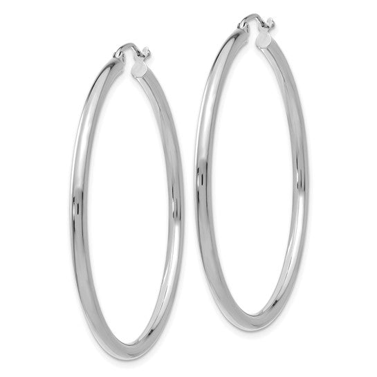 White Gold Hoop earrings